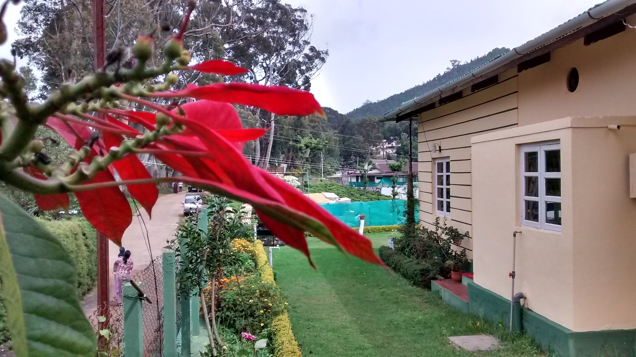 Sree harshav cottages - Highfield  (25 Kms from Ooty) - Tap to explore photos