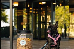 Crowne Plaza ATLANTA PERIMETER AT RAVINIA