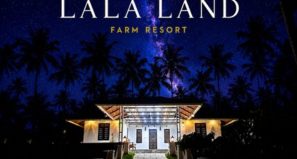 La La Land Farm House Room Type - La La Land Farm House