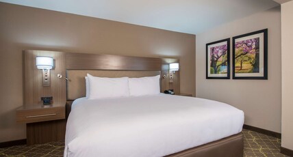 DoubleTree by Hilton Winston Salem - University, NC Room Type - 1 KING JUNIOR SUITE