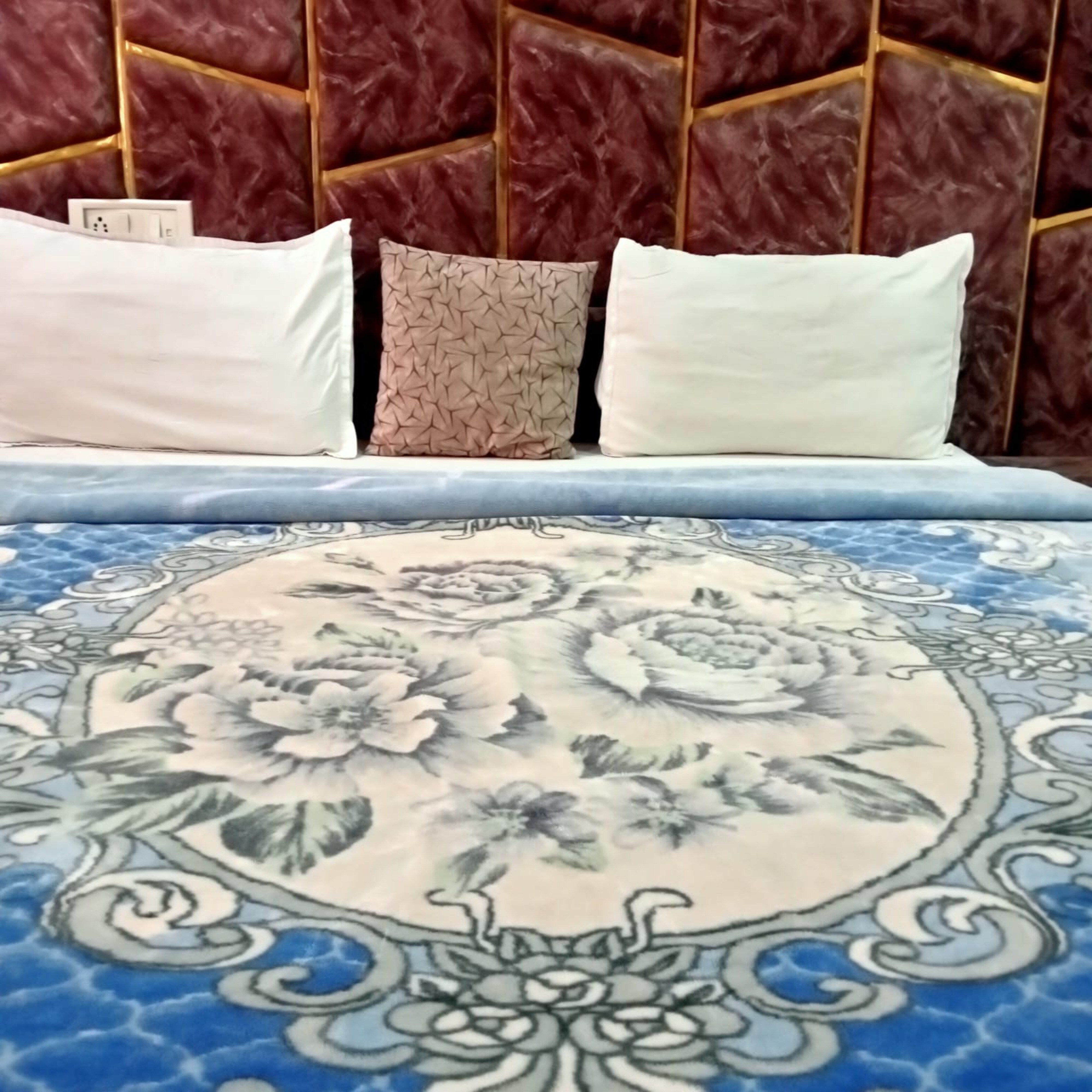 Hotel Sneh Palace - Tap to explore photos