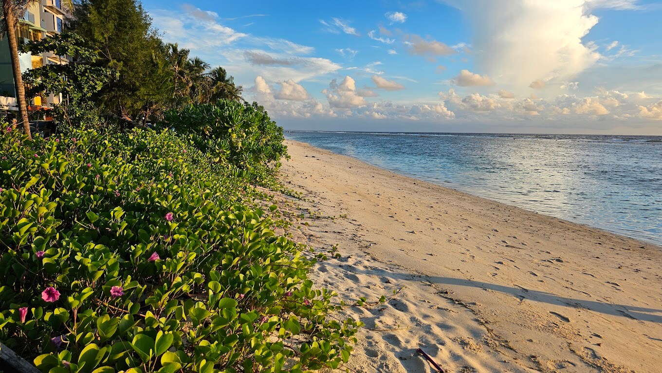 Rivethi Beach Hotel - Tap to explore photos