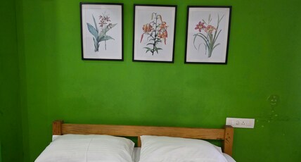 Barza Inn Room Type - Deluxe Room