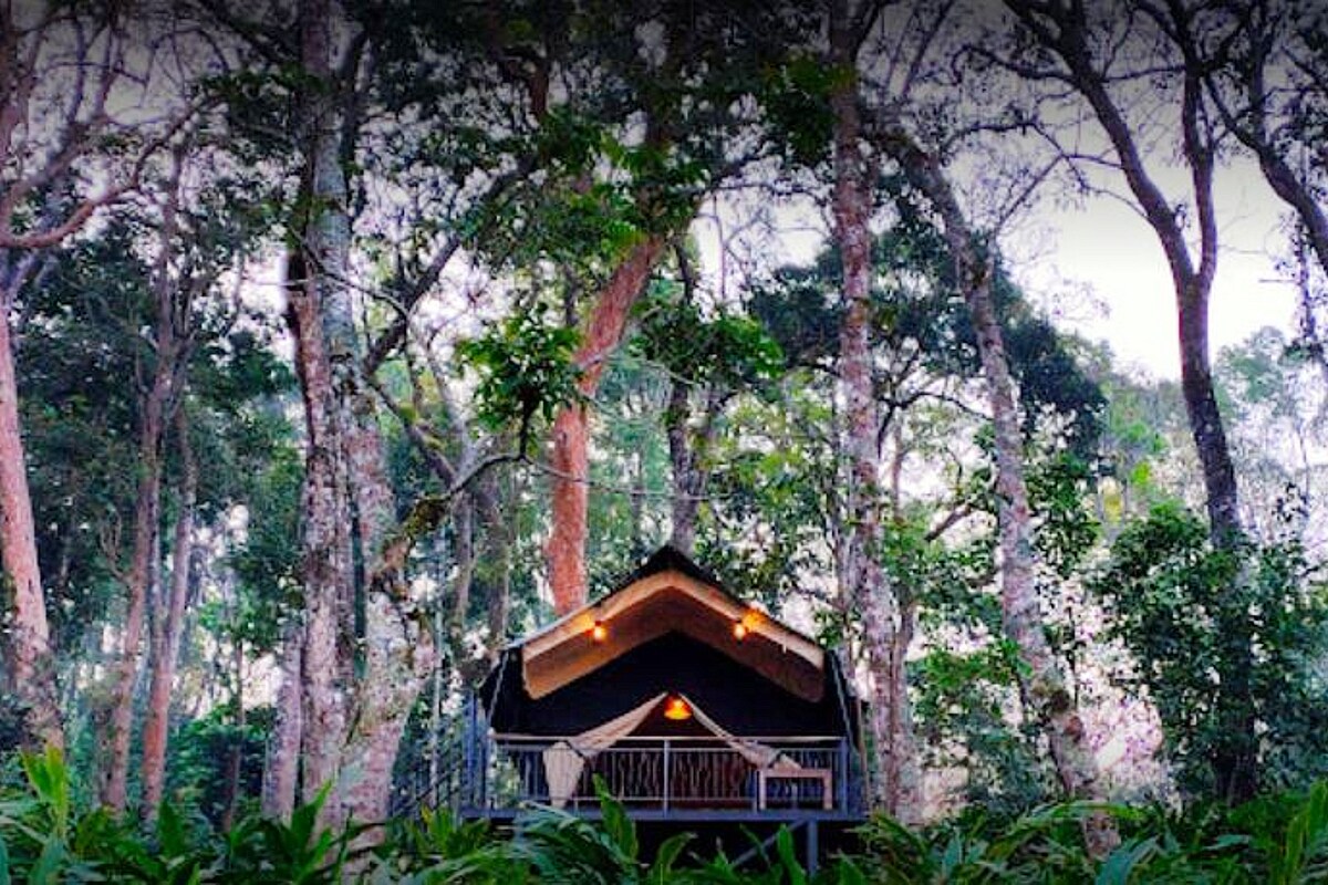 SKYES GLAMPING RESORT - Tap to explore photos
