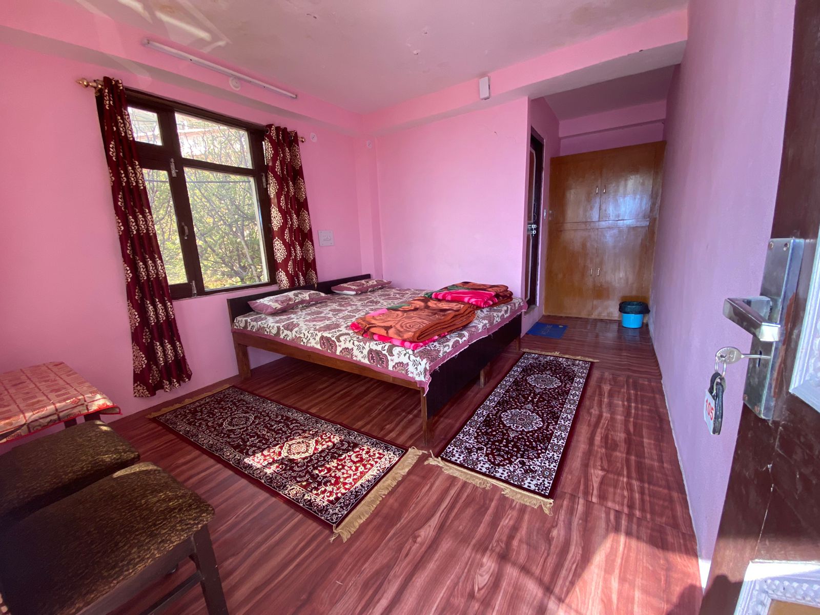 Himalayan Vulture - Tap to explore photos