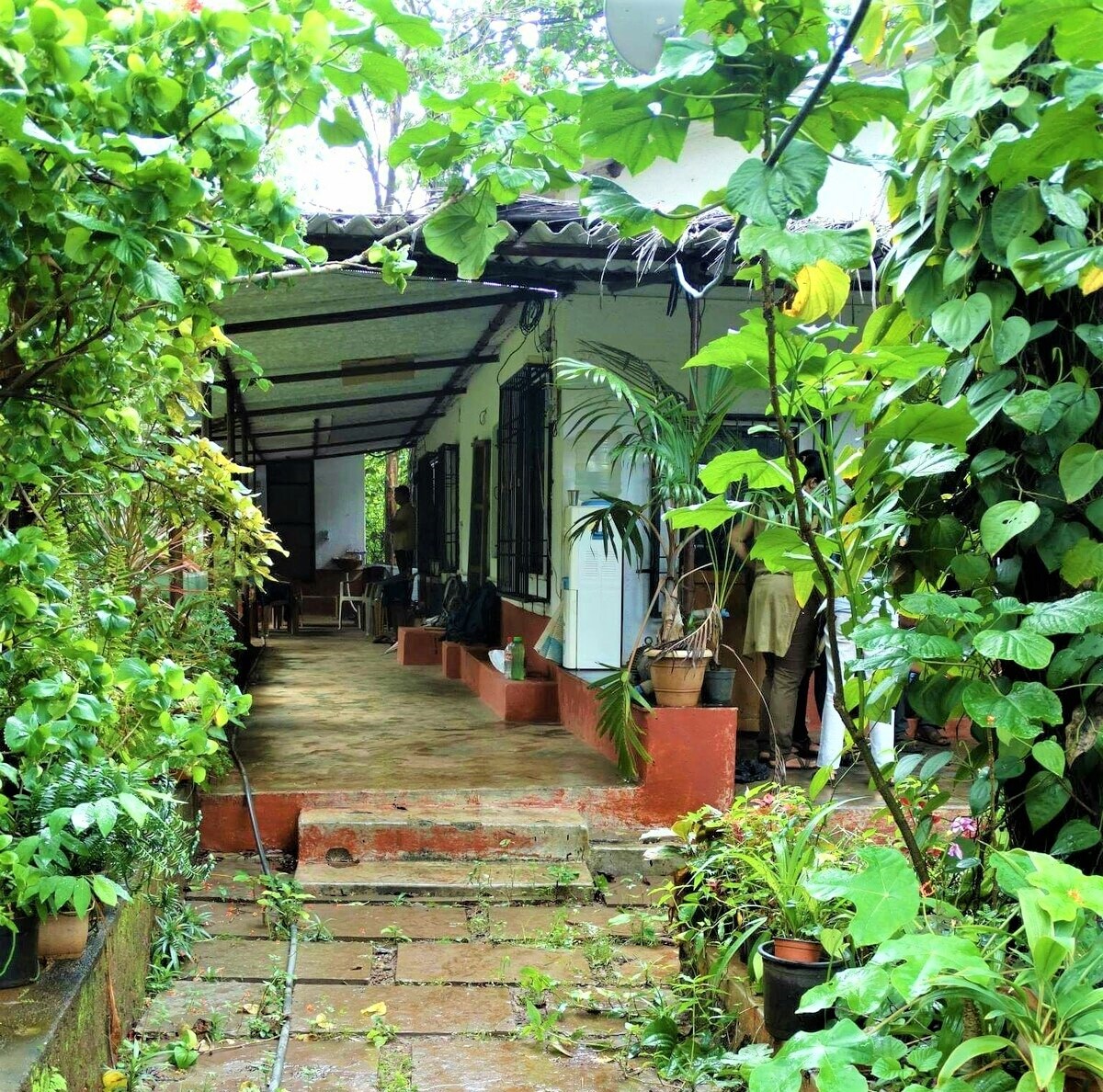 Main gallery