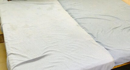 Hotel Shree Mohan Palace Room Type - Standard Non Ac