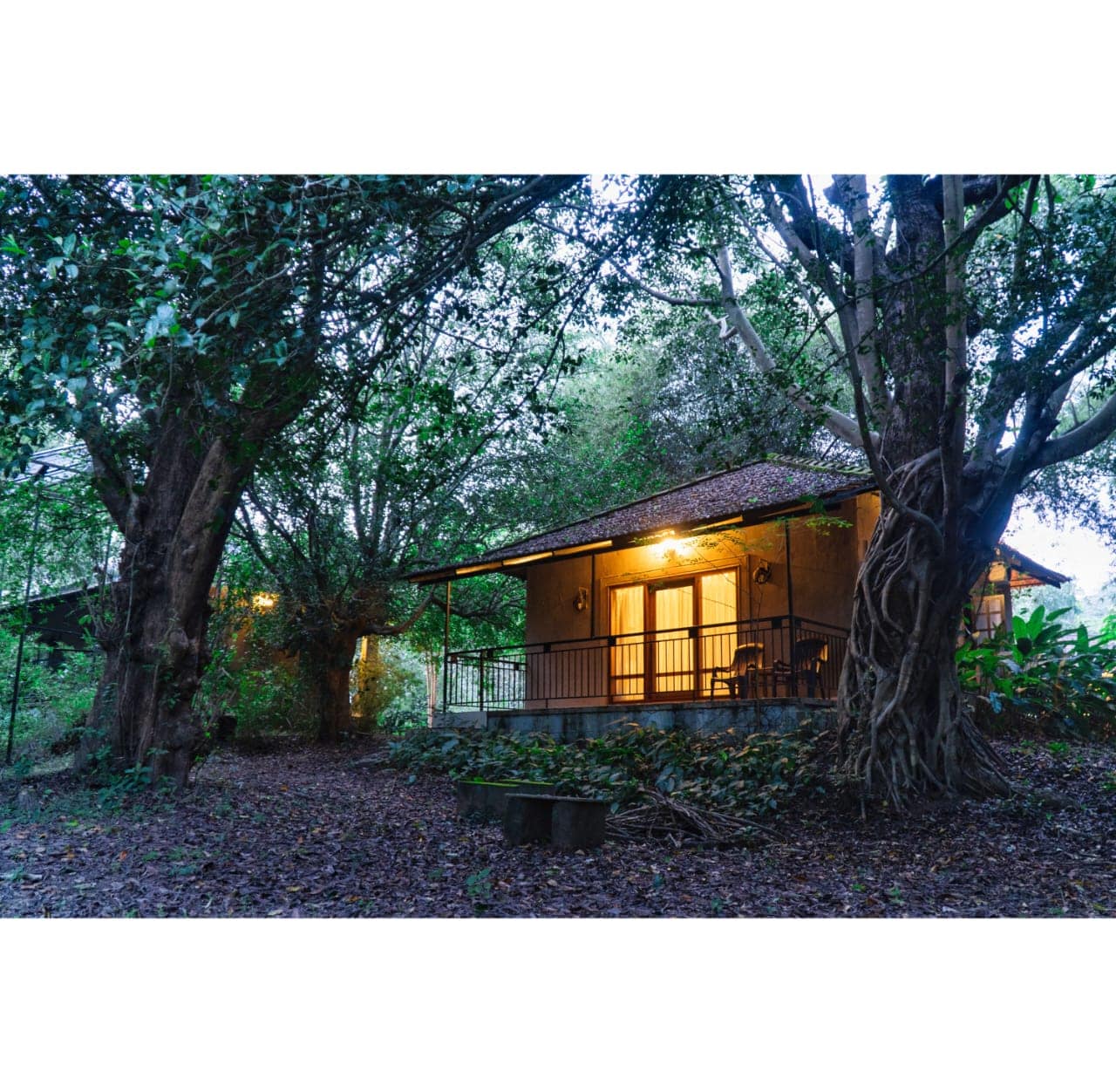 The Roads End Coorg, Rooms & Cottages - Tap to explore photos