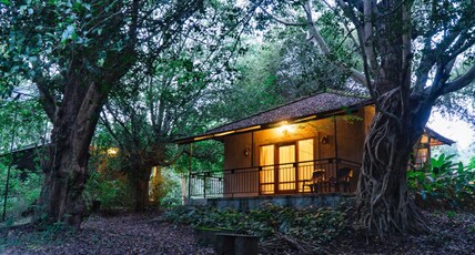 The Roads End Coorg, Rooms & Cottages Room Type - Cottage Room