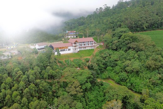 Tea Tree Munnar