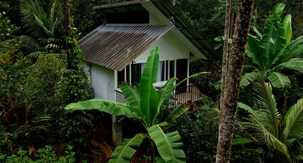 Mithra Munnar Treehouse and Rooms Room Type - Mithra Valley Retreat A-Frame