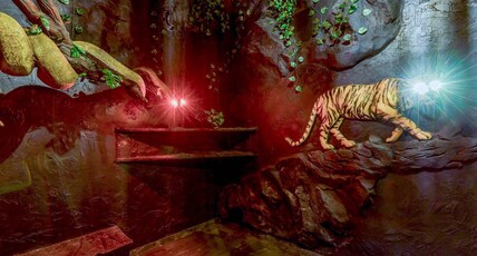 Dio Regaalo Theme Resort, Ratnagiri Room Type - Jungle Safari