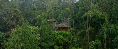 The Woods Resorts Wayanad