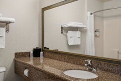 Holiday Inn Express & Suites New Buffalo, an IHG Hotel
