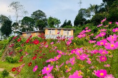 Retrea8stay Dawaipani