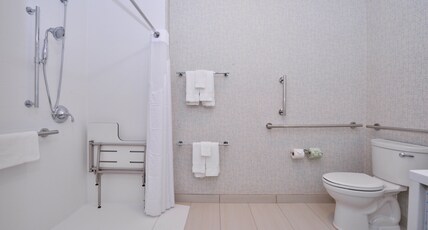 Holiday Inn Express & Suites Madison, an IHG Hotel Room Type - 1 King Suite Mobility Accessible Roll In Shower