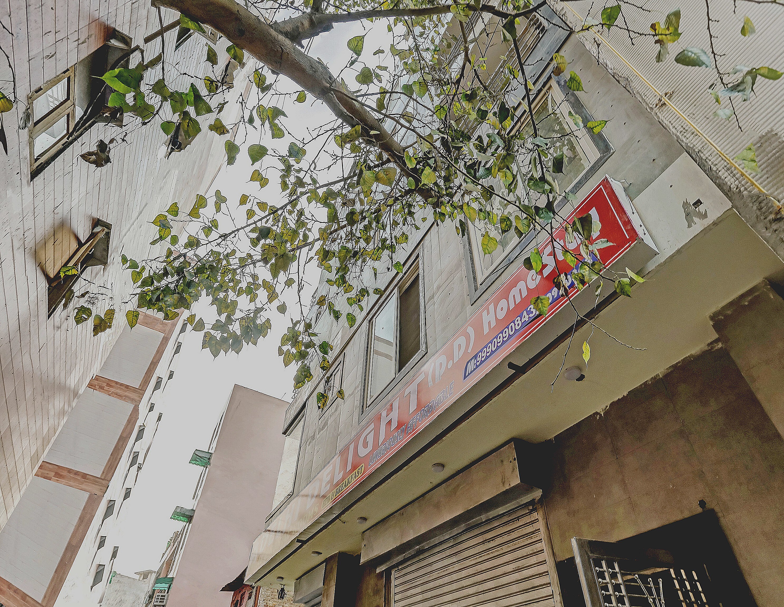 Hotel O Delhi Delight - Tap to explore photos