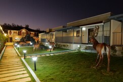 Stag Life Home Stay