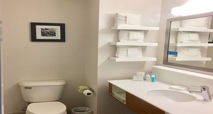Hampton Inn by Hilton Sevierville Room Type - 1 KNG HEARING ACC NOSMOK