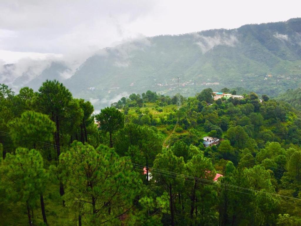 The North Edge Kasauli - Tap to explore photos