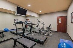 Best Western South Plains Inn & Suites