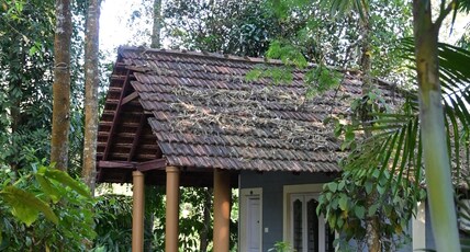 Whispering Woods Room Type - Cottage