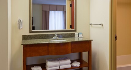 Hampton Inn & Suites by Hilton Lino Lakes Room Type - 1KNG STUDIO SOFABED NOSMOK