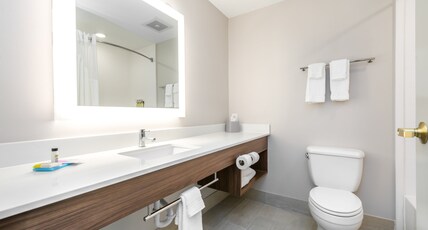 Holiday Inn Express & Suites LAGRANGE Room Type - 1 King Bed Standard Comm Accessible