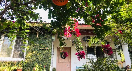 Misty Homestay Room Type - Misty Homestay