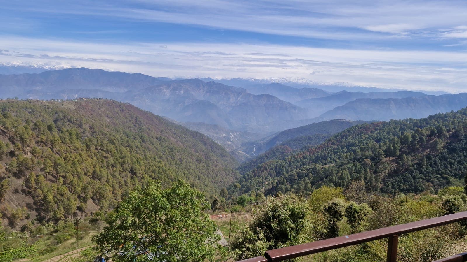 Bharat Singh Bisht - Tap to explore photos