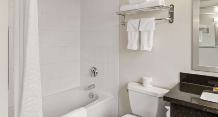Best Western Plus Pitt Meadows Inn & Suites Room Type - 1 King Bed, Non-Smoking, Larger Room, Microwave And Refrigerator, Wi-Fi, Full Breakfast