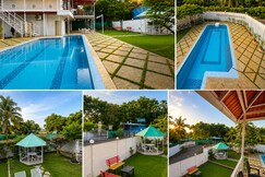 Wisteria Primium Stay