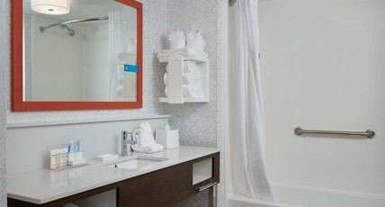 Hampton Inn Wilmington Medical Park Room Type - 1KING FULL SOFABED NOSMOK