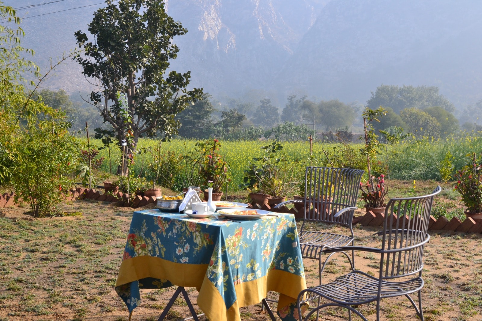 Sariska Nature Estate - Tap to explore photos