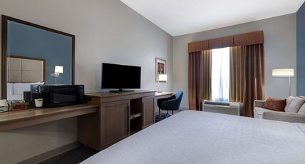 Hampton Inn Victoria Room Type - 1KNG STUDIO SOFABED NOSMOK