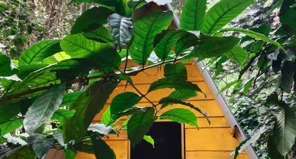 The Lost Monk's Hostel Room Type - A frame Cabin