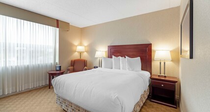 Best Western Plus City Centre Inn Room Type - 1 Queen Bed, Non-Smoking, Wireless, Refrigerator, Coffee Maker, Hairdryer, Iron And Ironing Board