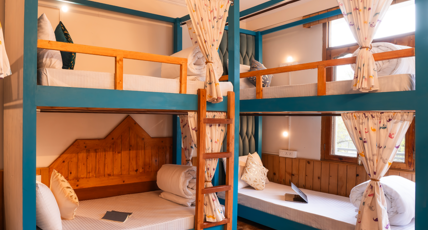 Moustache Manali. Room Type - 6 Bed Mixed Dormitory
