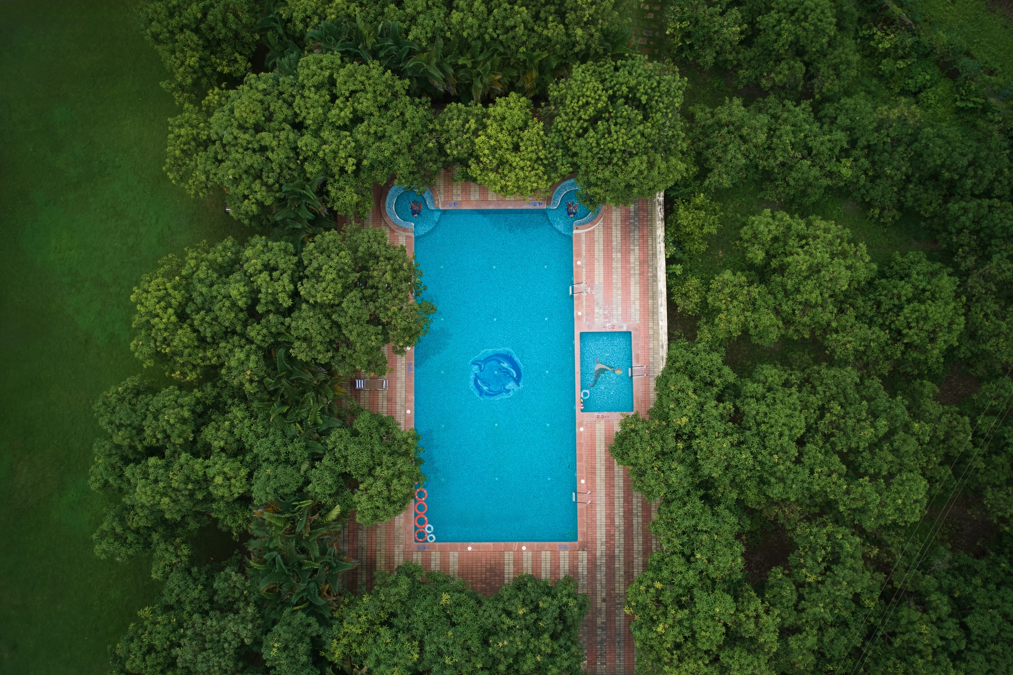 Sarovar Portico Gir - Tap to explore photos