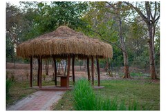 Mud House Oasis