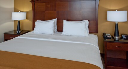 Holiday Inn Express Hotel & Suites Austin South - Buda Room Type - 1 King Suite