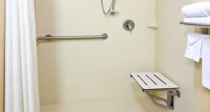 Hampton Inn & Suites by Hilton Lino Lakes Room Type - 1 KN ACC RI SHWR STUDIO NS