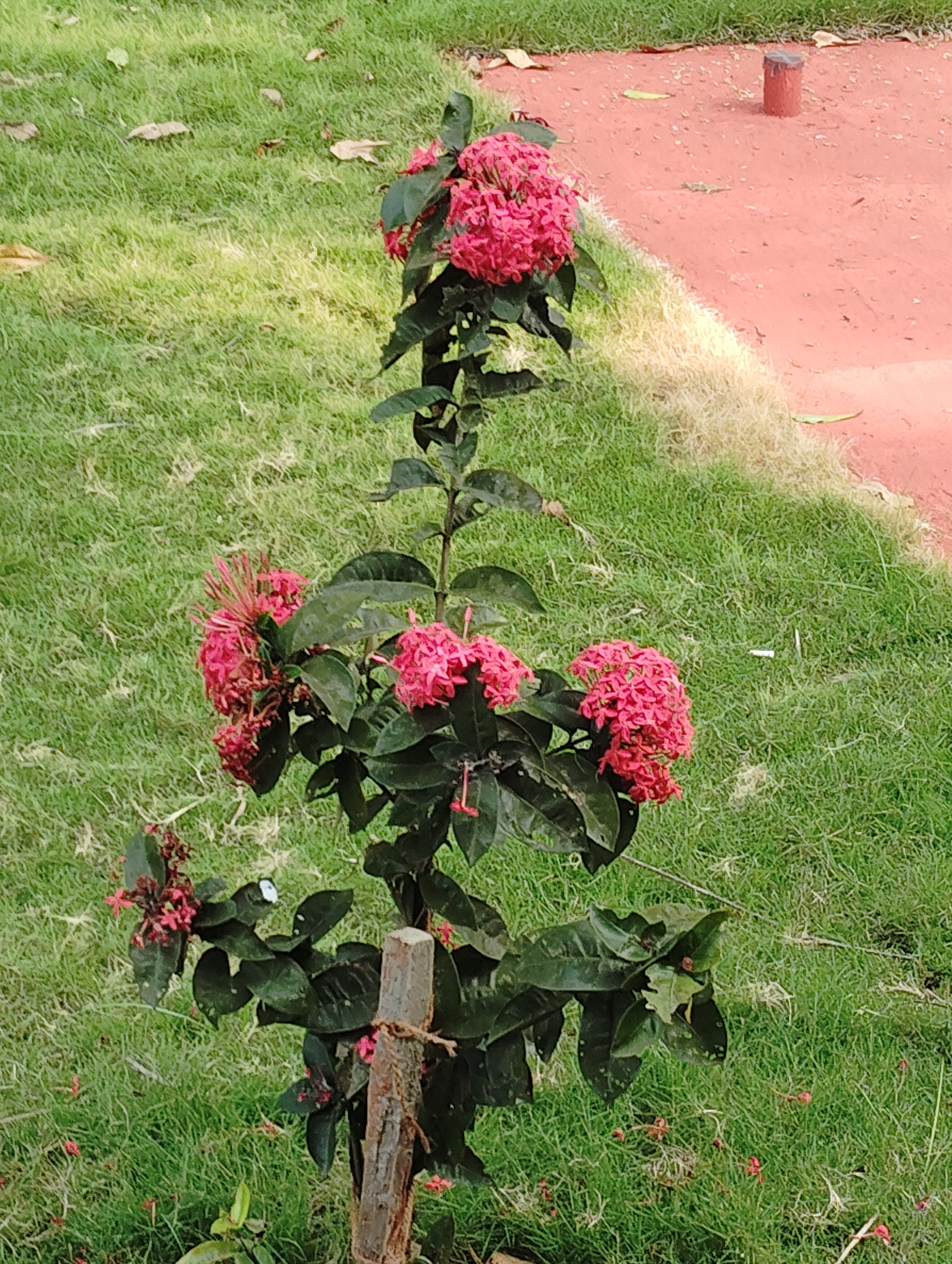 Vento Sereno - Tap to explore photos