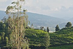 SATHYA HOLIDAYS
